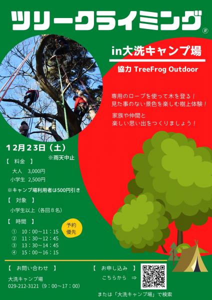 12/23ツリークライミング