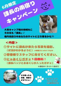 雨宿りキャンペーン