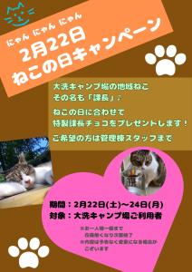 ねこの日キャンペーン