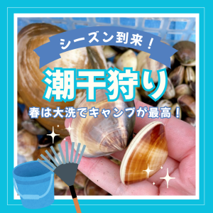 潮干狩りシーズン到来！大洗が最高！を見る