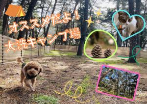 春のキャンペーン・ラインナップを見る