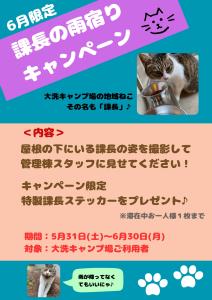 雨宿りキャンペーン25
