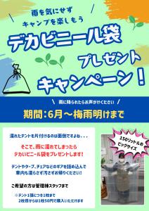 デカビニキャンペーン