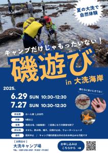 磯遊び体験2025